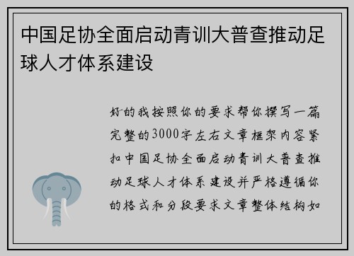 中国足协全面启动青训大普查推动足球人才体系建设 中国足协全面启动青训大普查推动足球人才体系建设
